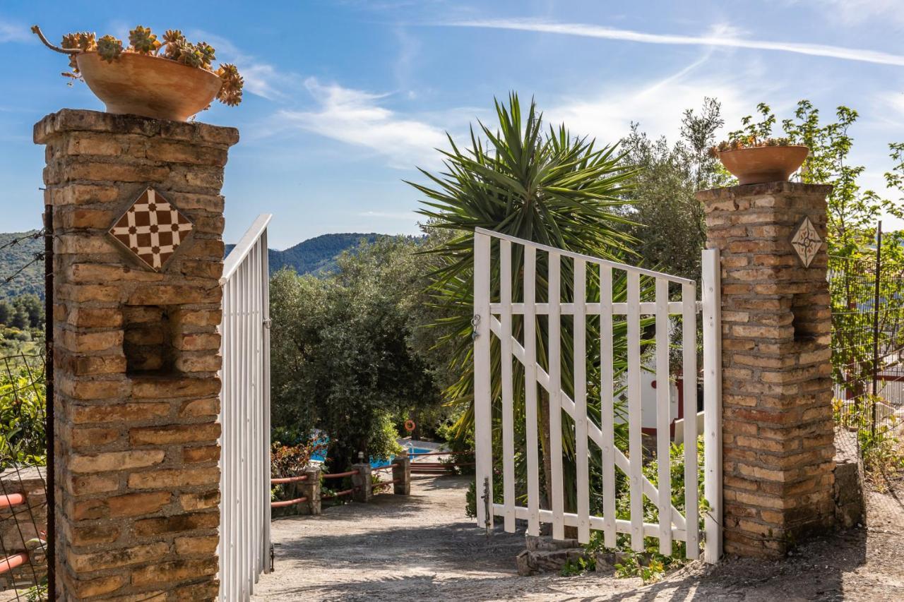 Villa Agia Marina Skopelos Buitenkant foto